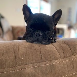 Meet your Posher, Chloe